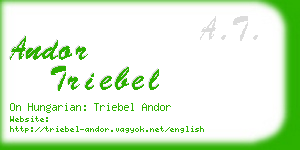 andor triebel business card